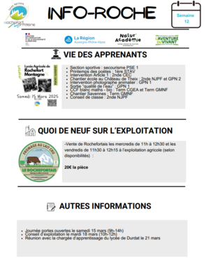 Info Roche 12.png