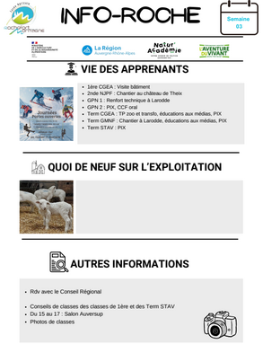 Info Roche semaine 03.png