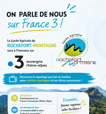 Visuel reportage$.png
